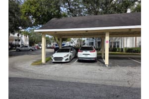 3301 HAVILAND COURT, PALM HARBOR, FL 34684 - MLS#MFRTB8460309