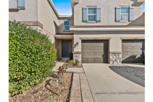 12353 BAYOU FLATS LANE, TAMPA, FL 33635 - MLS#MFRTB8460348