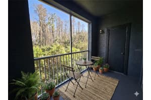 13235 SANCTUARY COVE DRIVE, TEMPLE TERRACE, FL 33637 - MLS#MFRTB8460405