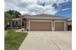 11610 GROVE ARCADE DRIVE, RIVERVIEW, FL 33569 - MLS#MFRTB8460458