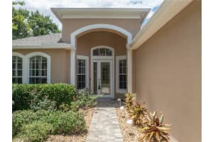 11610 GROVE ARCADE DRIVE, RIVERVIEW, FL 33569 - MLS#MFRTB8460458