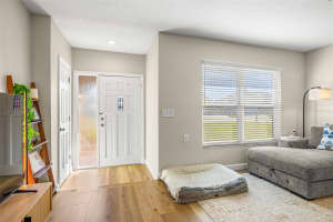 314 CIRCLE DRIVE, PALM HARBOR, FL 34683 - MLS#MFRTB8460482