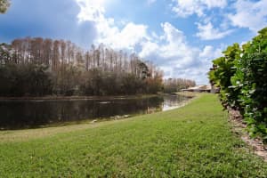 5590 GREYSTON STREET, PALM HARBOR, FL 34685 - MLS#MFRTB8460485