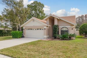 5590 GREYSTON STREET, PALM HARBOR, FL 34685 - MLS#MFRTB8460485