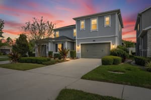 18233 LEAFMORE STREET, LUTZ, FL 33548 - MLS#MFRTB8460500