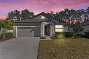 20009 Hidden Glen Dr, LAND O LAKES 20009 Hidden Glen Dr, LAND O LAKES