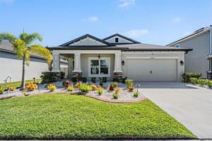 30747 Parrot Reef Ct, WESLEY CHAPEL