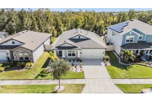 30747 PARROT REEF COURT, WESLEY CHAPEL, FL 33545 - MLS#MFRTB8460573