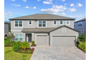 12107 NOUVEAU AVENUE, SPRING HILL, FL 34610 - MLS#MFRTB8460574