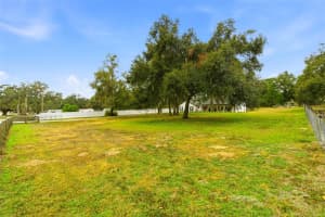 37403 PHELPS ROAD, ZEPHYRHILLS, FL 33541 - MLS#MFRTB8460618