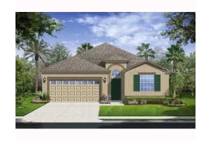 10618 BLUE CORAL LANE, TAMPA, FL 33647 - MLS#MFRTB8460626