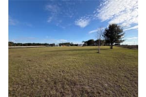 MLS# MFRTB8460632, Dade City, Florida 33525