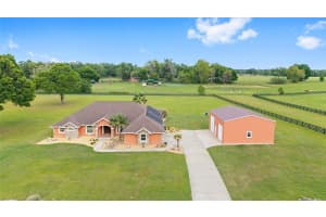 9901 NW 6TH COURT, OCALA, FL 34475 - MLS#MFRTB8460636