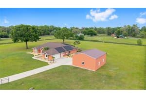 9901 NW 6TH COURT, OCALA, FL 34475 - MLS#MFRTB8460636