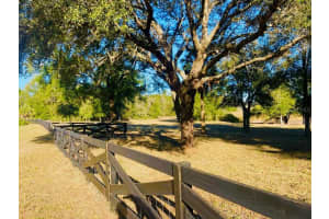 HUNTERS TRACE LN, CLERMONT, FL 34715 - MLS#MFRTB8460650