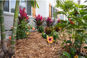 6613 BLUE HERON DRIVE, ST PETERSBURG, FL 33707 - MLS#MFRTB8460660