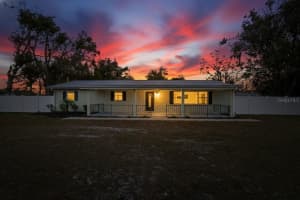 902 CHARLIE GRIFFIN ROAD, PLANT CITY, FL 33566 - MLS#MFRTB8460669