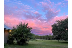 11956 NEAL ROAD, LITHIA, FL 33547 - MLS#MFRTB8460684