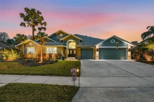 6416 THOROUGHBRED LOOP, ODESSA, FL 33556 - MLS#MFRTB8460690