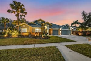 6416 THOROUGHBRED LOOP, ODESSA, FL 33556 - MLS#MFRTB8460690