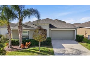 15517 BAWTREE GATE LANE, SUN CITY CENTER, FL 33573 - MLS#MFRTB8460693
