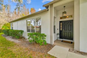 19204 WEYMOUTH DRIVE, LAND O LAKES, FL 34638 - MLS#MFRTB8460702