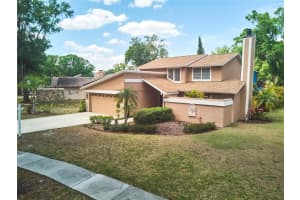 3103 Taragrove Dr, TAMPA 3103 Taragrove Dr, TAMPA