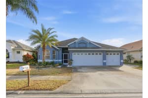 391 WOOD BRIDGE AVENUE, TARPON SPRINGS, FL 34689 - MLS#MFRTB8460721