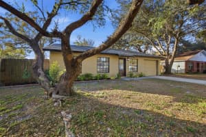 10508 MYRTLE STREET, TAMPA, FL 33617 - MLS#MFRTB8460761