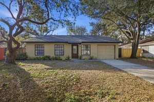 10508 MYRTLE STREET, TAMPA, FL 33617 - MLS#MFRTB8460761