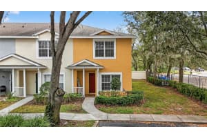 3401 High Hampton Cir, TAMPA