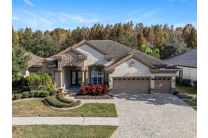 15035 Wind Whisper Dr, ODESSA