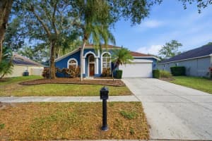 15207 ARBOR HOLLOW DRIVE, ODESSA, FL 33556 - MLS#MFRTB8460789
