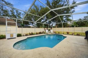 15207 ARBOR HOLLOW DRIVE, ODESSA, FL 33556 - MLS#MFRTB8460789