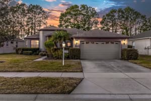 1553 MORNING ROSE PLACE, TRINITY, FL 34655 - MLS#MFRTB8460850