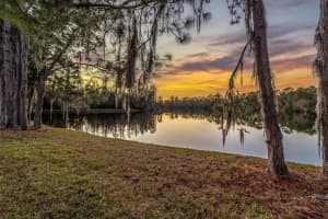 1553 MORNING ROSE PLACE, TRINITY, FL 34655 - MLS#MFRTB8460850