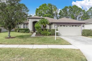 1553 MORNING ROSE PLACE, TRINITY, FL 34655 - MLS#MFRTB8460850