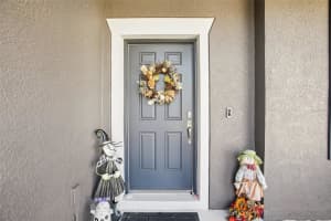 2624 KENCHESTER LOOP, WESLEY CHAPEL, FL 33543 - MLS#MFRTB8460866