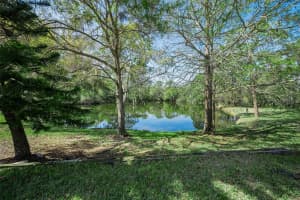 4738 PEBBLE BROOK DRIVE, OLDSMAR, FL 34677 - MLS#MFRTB8460875