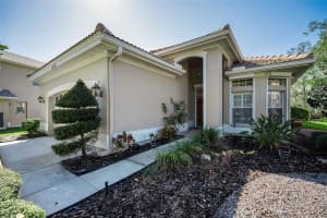 4738 PEBBLE BROOK DRIVE, OLDSMAR, FL 34677 - MLS#MFRTB8460875