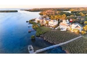 504 HILLSBOROUGH STREET, PALM HARBOR, FL 34683 - MLS#MFRTB8460889