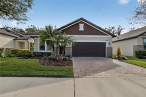 10435 ALCON BLUE DRIVE, RIVERVIEW, FL 33578 - MLS#MFRTB8460899