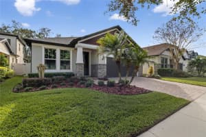 10435 ALCON BLUE DRIVE, RIVERVIEW, FL 33578 - MLS#MFRTB8460899