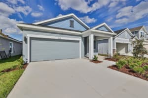 6042 Golden Nettle Dr, APOLLO BEACH