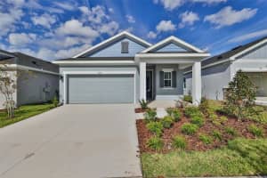6042 GOLDEN NETTLE DRIVE, APOLLO BEACH, FL 33572 - MLS#MFRTB8460902