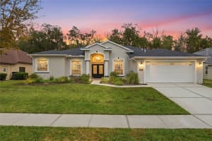 4130 GEVALIA DRIVE, BROOKSVILLE, FL 34604 - MLS#MFRTB8460916