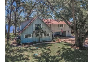 16019 CHASTAIN ROAD, ODESSA, FL 33556 - MLS#MFRTB8460939