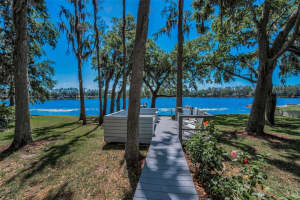 16019 CHASTAIN ROAD, ODESSA, FL 33556 - MLS#MFRTB8460939