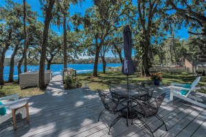 16019 CHASTAIN ROAD, ODESSA, FL 33556 - MLS#MFRTB8460939