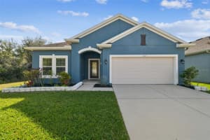8213 Barnside View Ln, GIBSONTON 8213 Barnside View Ln, GIBSONTON